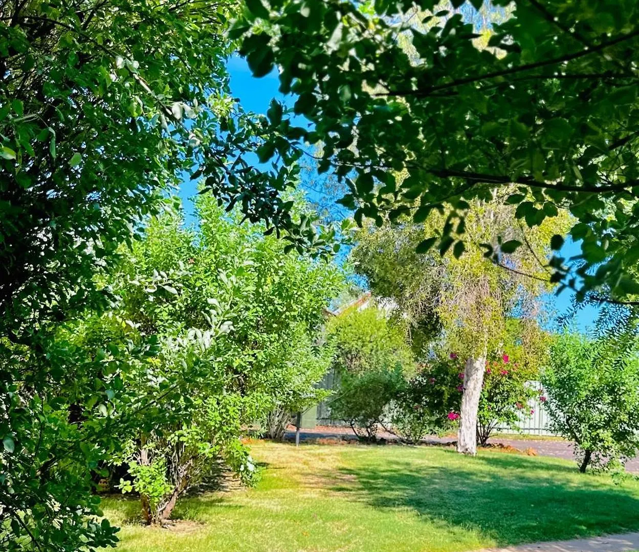 **** Hotel Country Way Motor Inn Cunnamulla Australia